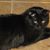 JoAnne Terry's profile image