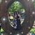 Charlene Chanel's profile image