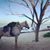 Nicole Walach's profile image