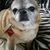 Jayme Wilbur-Ward's profile image