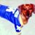 Bob Selnes's profile image