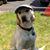 Kellie Cheney's profile image