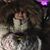 Patti J-c's profile image