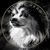Shereane Houston's profile image
