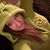 Michelle Kofalt's profile image