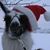 Jill Decoste Gargash's profile image