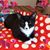 Judy Miron's profile image