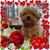 Jenny McClellan's profile image