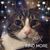 Bob Lemerise's profile image