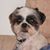 Jim Alfred's profile image