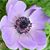 Jennifer Stocker's profile image