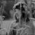 Susanna Blunt's profile image