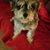 Cathy Shattuck's profile image