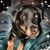 Julie Block Tomlinson's profile image