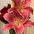 Juanita Travis Knighton's profile image