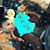 Tere Scott's profile image