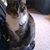 Molly Histed's profile image