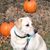 Ruth Brecke's profile image