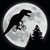 Melody-Joy Leichty's profile image