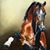 Jesus Javier Malpica Morales's profile image