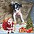 Dianne Peterson's profile image