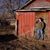 Brady Jay Sauer's profile image