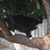 Mark Daugherty's profile image