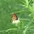 Anne Eaton Woolley's profile image