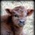 Naomi-Joi Binion's profile image
