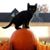 Dawn Moore's profile image