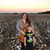 Lyndzy Averette's profile image