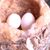 Brian Chong's profile image