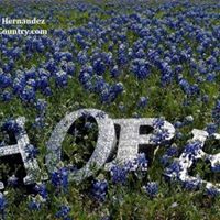 Cindy Lewis's profile image