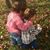 Wanda Caswell's profile image