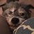 Karen Peasley's profile image