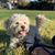 Kathy Kladnik Schellhas's profile image