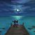 Susan Vaughn's profile image