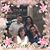 Sandy Brandt Martiz's profile image