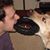 Jon Hogrefe's profile image