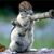 David Cary's profile image