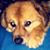 Scott Ebol's profile image