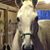 Melissa Gruner's profile image