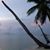 Dusk Cantrell's profile image