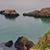 Diane Mottram's profile image
