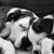 Teri Freeze Vonasek's profile image