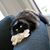 Hava Dennenberg's profile image