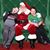 Wendy Wilson's profile image