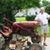Timothy Melvin Kreuzer's profile image
