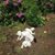 Jean Lisman's profile image