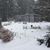 Susan Maynard's profile image